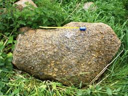 Concretion of Hertfordshire Puddingstone, one of an outstanding collection made by the Parkins family of High Cross, Hertfordshire, during construction of the A10 bypass that cut through their farmland.